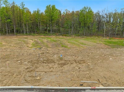 /international/us/9531-river-birch-run-brecksville-oh-110108034958/