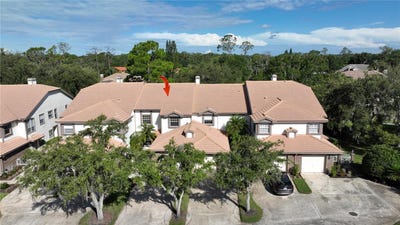 /international/us/1290-clays-trail-oldsmar-fl-110097585087/