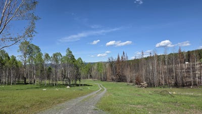 /international/us/2433b-widow-rd-colville-wa-110106737046/