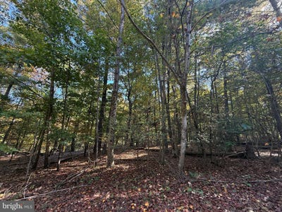 /international/us/102-southwood-cross-junction-va-110108220488/