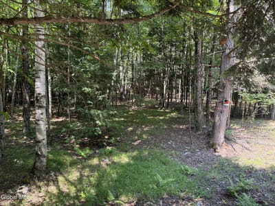 /international/us/65-hidden-valley-road-lake-luzerne-ny-110119759198/