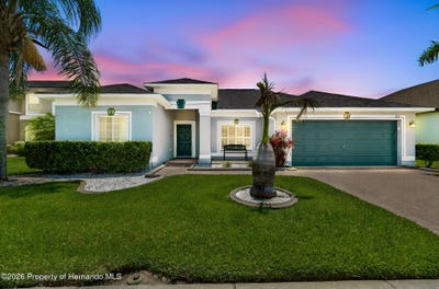 /international/us/1616-regal-mist-loop-trinity-fl-110108819278/