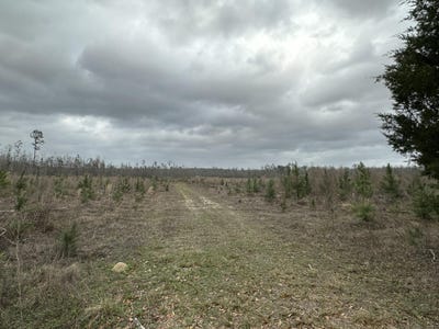 /international/us/3934-sand-path-road-bonifay-fl-110094848154/