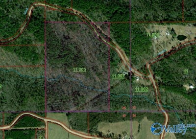 /international/us/30-ac-county-road-469-collinsville-al-110101092084/?lang=zh-tw