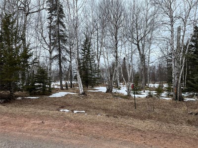 /international/us/10427-e-devries-road-poplar-wi-110107200160/