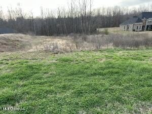 /international/us/447-e-byhalia-creek-farms-road-byhalia-ms-110100248367/?lang=zh-cn