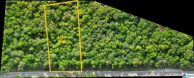 /international/us/county-road-42-lot-3-jemison-al-110108109149/