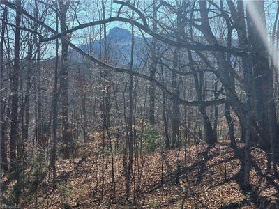/international/us/golf-course-road-pilot-mountain-nc-110098091328/