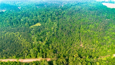 /international/us/fields-farm-road-millen-ga-110107925936/