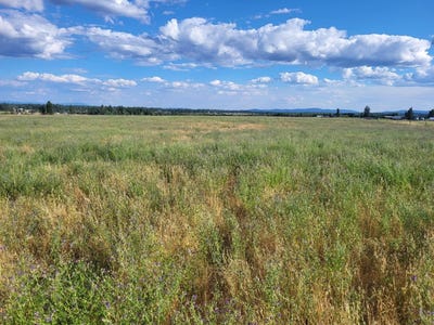 /international/us/mason-rd-deer-park-wa-110106919154/