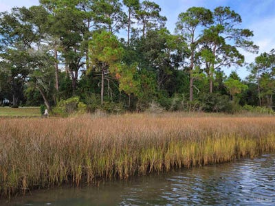 /international/us/000-voyager-dr-milton-fl-110088008081/
