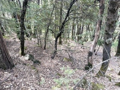 /international/us/upper-river-ave-lot-6-blk-dunsmuir-ca-110110308774/