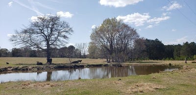/international/us/716-augusta-road-edgefield-sc-110066092376/