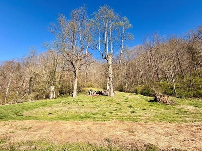/international/us/3083-ky-route-550-hueysville-ky-110106844269/