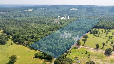 /international/us/tract-1-harmony-mountain-road-clinton-ar-110099803138/