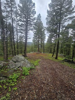 /international/us/60-snowberry-lane-drummond-mt-110109230303/