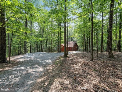 /international/us/3-ruffed-grouse-lane-hedgesville-wv-110101459789/