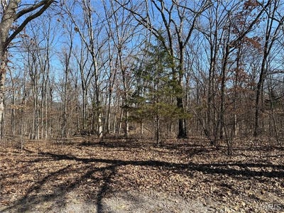 /international/us/tbd-monroe-road-577-stoutsville-mo-110107253188/