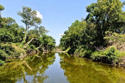 /international/us/1274-county-road-2806-lampasas-tx-110100506011/