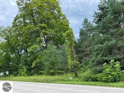 /international/us/00-e-state-street-central-lake-mi-110100998045/