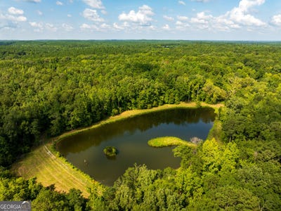 /international/us/110-acres-talbotton-butler-ga-110101457107/?lang=en