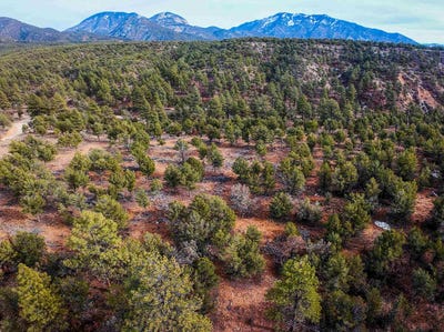 /international/us/gallina-canyon-valdez-nm-110104582438/