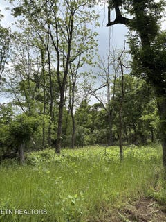 /international/us/grubb-rd-lenoir-city-tn-110108426476/