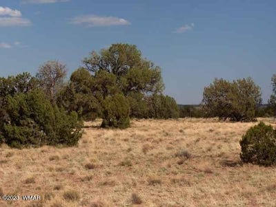 /international/us/6103-river-run-drive-heber-az-110081825907/