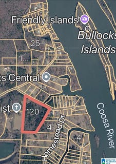 /international/us/120-homestead-drive-lot-1-wilsonville-al-110108090539/