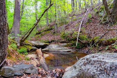 /international/us/10381-indian-mound-rd-ware-shoals-sc-110098932465/?lang=es