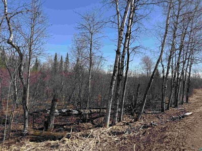 /international/us/51xx-samuelson-rd-duluth-mn-110107519649/