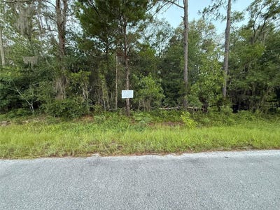 /international/us/905-e-hillsborough-avenue-florahome-fl-110100972995/?lang=fr