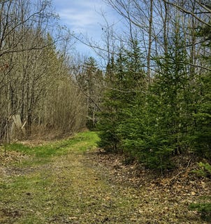 /international/us/kinstone-lane-trenton-me-110107787976/