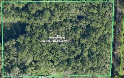 /international/us/hope-hill-road-brooksville-fl-110101350018/?lang=it