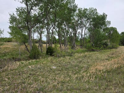 /international/us/leland-heights-lot-148-colorado-city-co-110108588972/