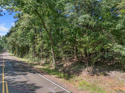 /international/us/tbd-s-fm-225-laneville-tx-110101299760/