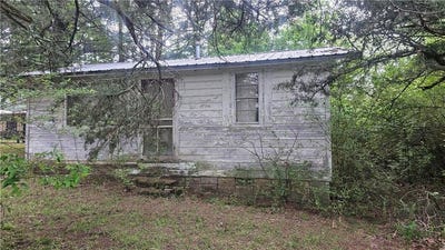 /international/us/576-e-state-highway-393-delaware-ar-110100319525/