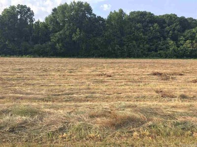 /international/us/lot-74-mound-view-drive-england-ar-110094564279/?lang=en