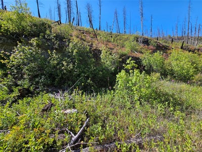 /international/us/80-upper-packer-gulch-road-drummond-mt-110101007149/