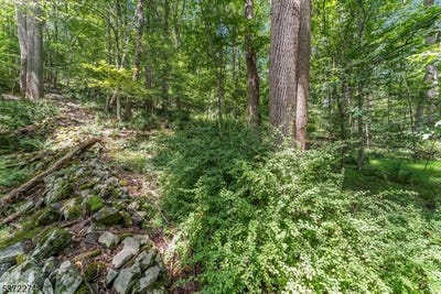 /international/us/0-sweet-hollow-road-holland-twp-nj-110100976063/