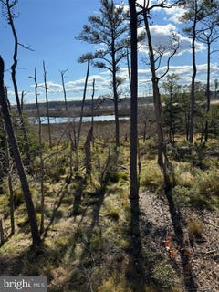/international/us/robinson-neck-road-taylors-island-md-110104054481/