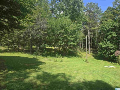 /international/us/225-county-road-261-lot-225-muscadine-al-110109136640/