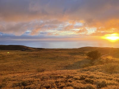 /international/us/kamakani-loop-kamuela-hi-110098258157/?lang=en