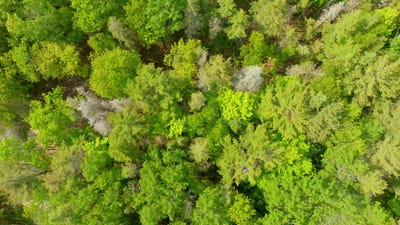 /international/us/tamarack-trail-lot-749-beaver-island-mi-110100398573/