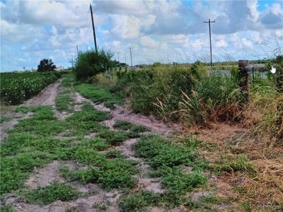 /international/us/1-mile-n-fm-1761-road-raymondville-tx-110102190952/