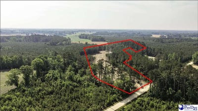 /international/us/tbd-newberry-road-lamar-sc-110107636959/