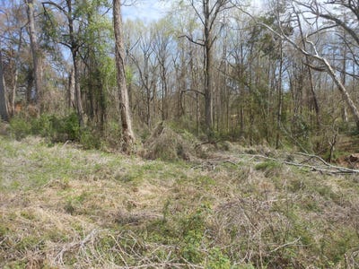 /international/us/5487-highway-9-pontotoc-ms-110106501899/