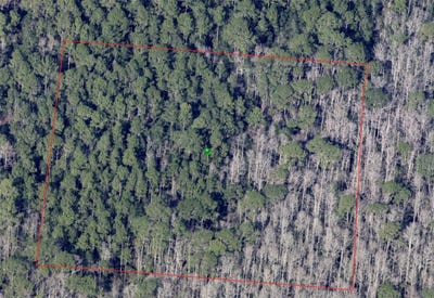 /international/us/north-street-de-leon-springs-fl-110100128838/