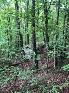 /international/us/2818-wilson-avenue-signal-mountain-tn-110099604585/