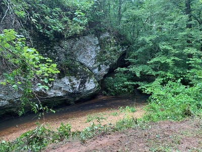 /international/us/county-road-14-muscadine-al-110100620042/